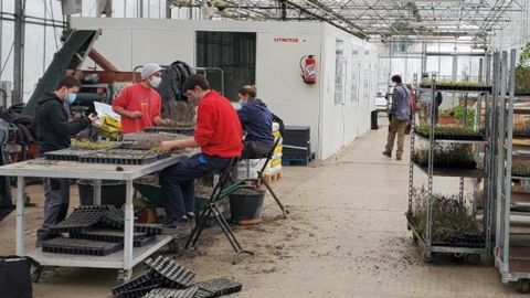 L’exploitation et les serres du lycée horticole de Romans-sur-Isère (26) accueilleront les obtenteurs chrysanthémistes, les producteurs de jeunes plants horticoles et les fournisseurs d’intrants… les 4 et 5 novembre prochains. ©Lycée de Romans